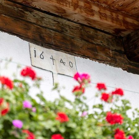 Haspingerhof Apartment Santa Maddalena in Casies Екстериор снимка