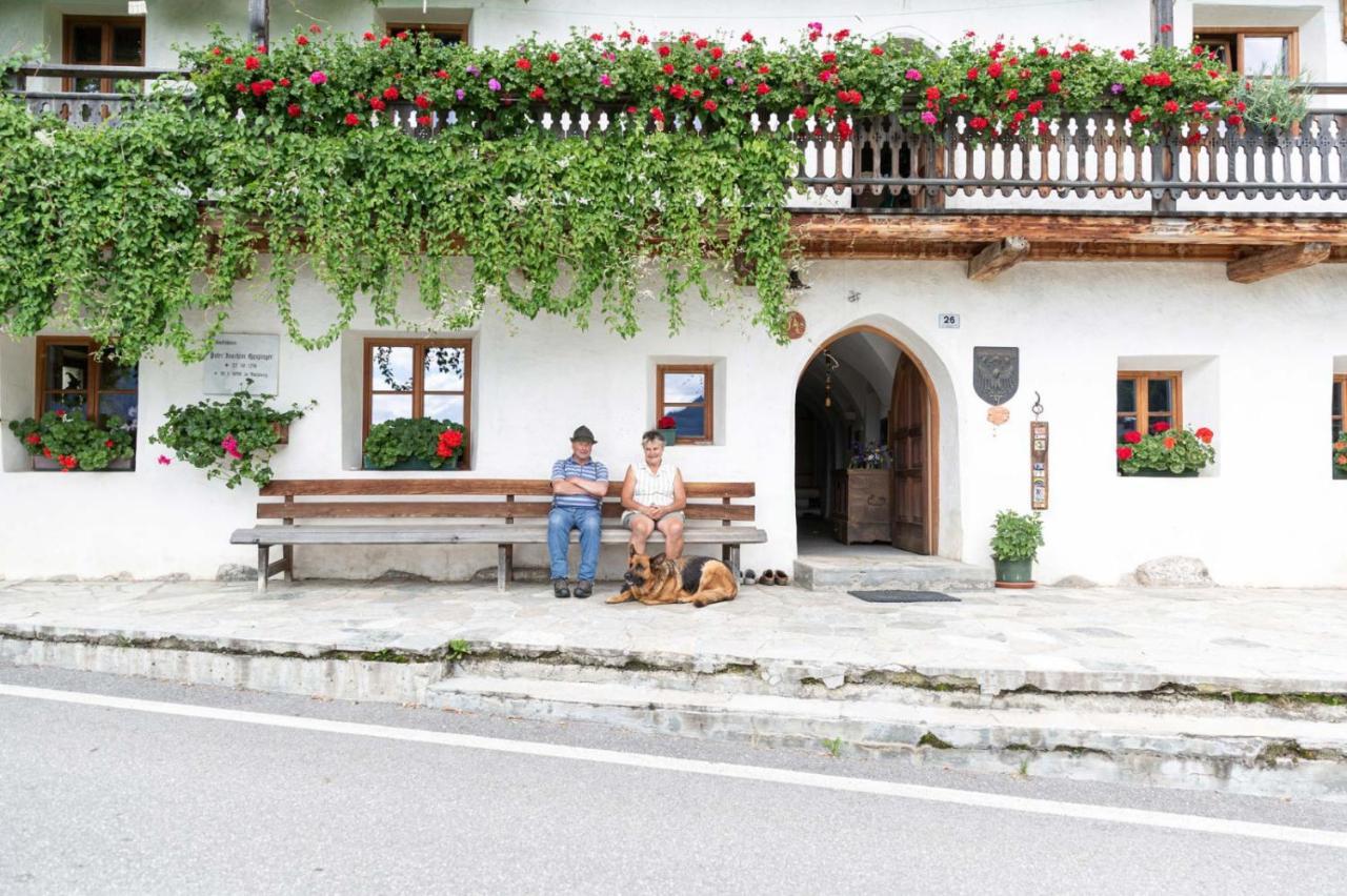 Haspingerhof Apartment Santa Maddalena in Casies Екстериор снимка